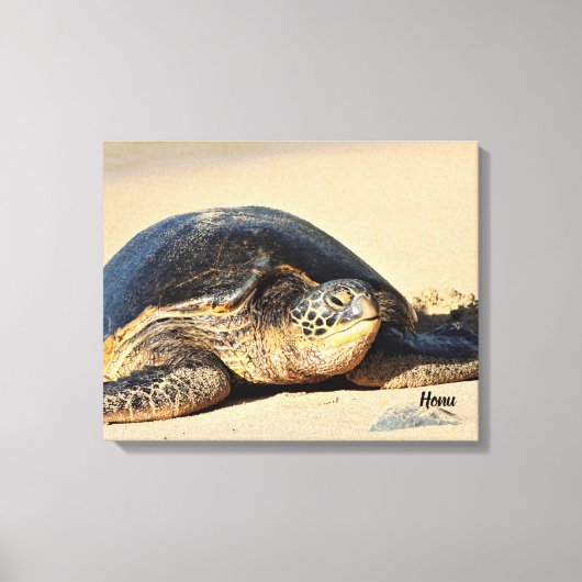 Toile Canvas de tortue de mer d'Hawaï (Recto)