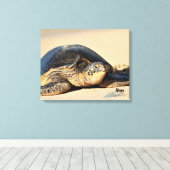 Toile Canvas de tortue de mer d'Hawaï (Insitu (Plancher de Bois))