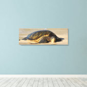 Toile Canvas de tortue de mer d'Hawaï (Insitu (Plancher de Bois))