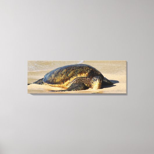 Toile Canvas de tortue de mer d'Hawaï (Recto)