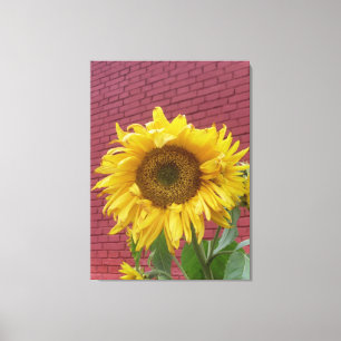 Toile Canvas de tournesol