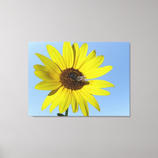 Toile Canvas de tournesol (Recto)