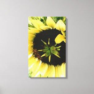 Toile Canvas de tournesol