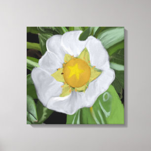 Toile Canvas étirés en fleur de fraise