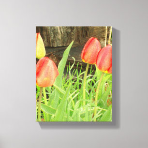 Toile Canvas Printemps 2