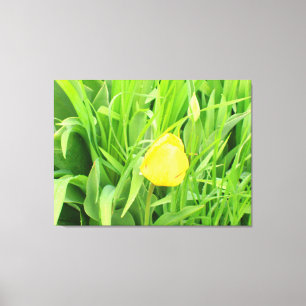 Toile Canvas Printemps 5