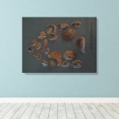 Toile Canvas (SeaShell House) RFPMDesigns ©️ 2012 (Insitu (Plancher de Bois))