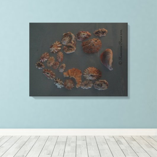 Toile Canvas (SeaShell House) RFPMDesigns ©️ 2012 (Insitu (Plancher de Bois))