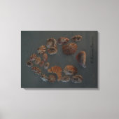 Toile Canvas (SeaShell House) RFPMDesigns ©️ 2012 (Recto)