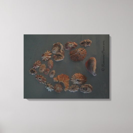 Toile Canvas (SeaShell House) RFPMDesigns ©️ 2012 (Recto)