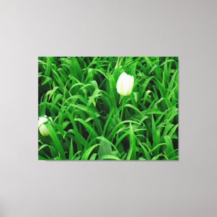 Toile Canvas Spring Time 4