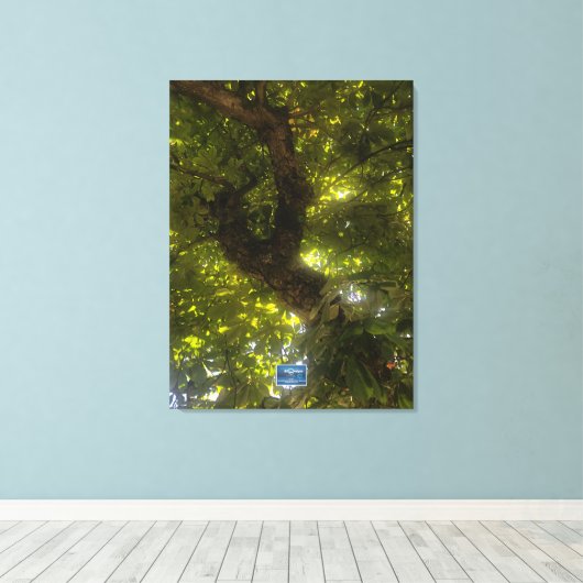 Toile Canvas (Sun Green Tree 2) RFPMDesigns ©️ 2021/24 (Insitu (Plancher de Bois))