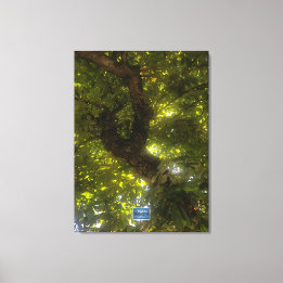 Toile Canvas (Sun Green Tree 2) RFPMDesigns ©️ 2021/24