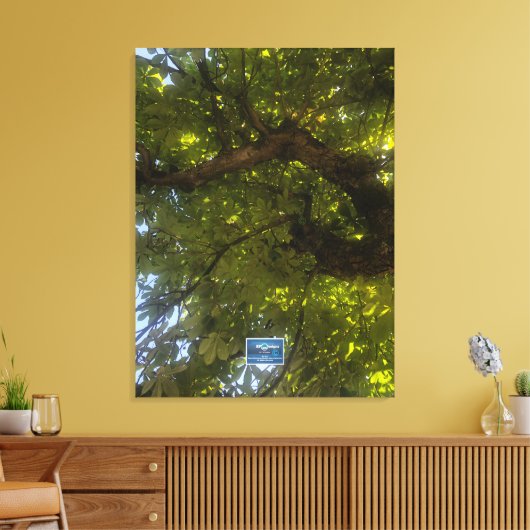 Toile Canvas (Sun Green Tree 3) RFPMDesigns ©️ 2021/24 (Insitu(Salon))