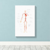 Toile Canvas Système circulatoire humain des artères (Insitu (Plancher de Bois))