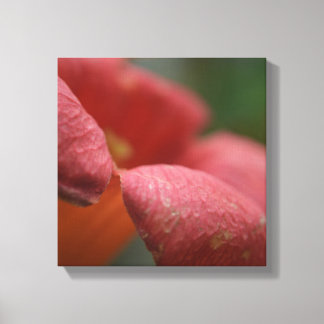 Toile Canvus enrobés ferment les fleurs