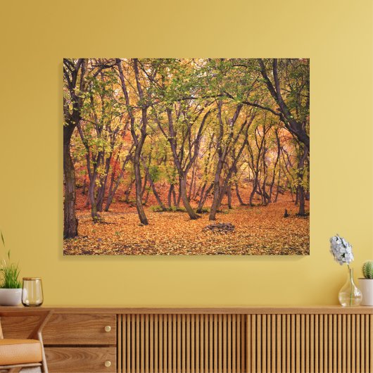 Toile Canyon du règlement (Insitu(Salon))