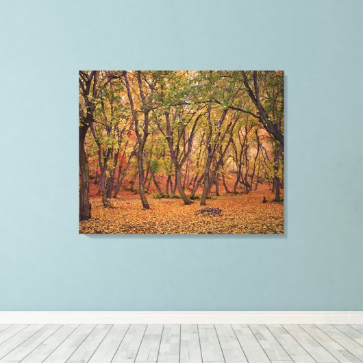 Toile Canyon du règlement (Insitu (Plancher de Bois))