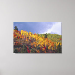 Toile Canyon Logan dans l'Utah en automne avec passage