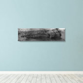 Toile Cap-Vert, Mars (Insitu (Plancher de Bois))