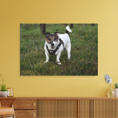 Toile Capo von Oppenheim, Jack Russell Terrier Chien (Insitu(Salon))