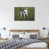 Toile Capo von Oppenheim, Jack Russell Terrier Chien (Insitu(Chambre))