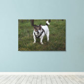 Toile Capo von Oppenheim, Jack Russell Terrier Chien (Insitu (Plancher de Bois))