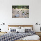 Toile Capo von Oppenheim, Jack Russell Terrier, Chien (Insitu(Chambre))