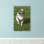 Toile Capo von Oppenheim, Jack Russell Terrier, Chien (Insitu (Plancher de Bois))