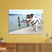Toile Capo von Oppenheim, Jack Russell Terrier Chien (Insitu(Salon))