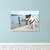 Toile Capo von Oppenheim, Jack Russell Terrier Chien (Insitu (Plancher de Bois))