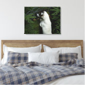 Toile Capo von Oppenheim, Jack Russell Terrier Chien (Insitu(Chambre))