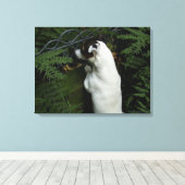 Toile Capo von Oppenheim, Jack Russell Terrier Chien (Insitu (Plancher de Bois))