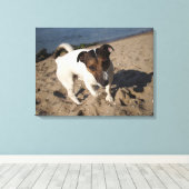 Toile Capo von Oppenheim, Jack Russell Terrier, Chien (Insitu (Plancher de Bois))