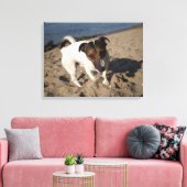 Toile Capo von Oppenheim, Jack Russell Terrier, Chien (Insitu(Salon))