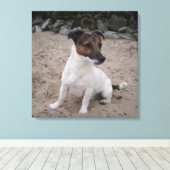 Toile Capo von Oppenheim, Jack Russell Terrier, Chien (Insitu (Plancher de Bois))