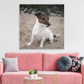Toile Capo von Oppenheim, Jack Russell Terrier, Chien (Insitu(Salon))