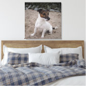 Toile Capo von Oppenheim, Jack Russell Terrier, Chien (Insitu(Chambre))