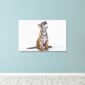 Toile Captif, Afrique du Sud 4 (Insitu (Plancher de Bois))