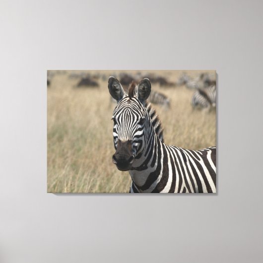 Toile Capture de bouchon (Recto)