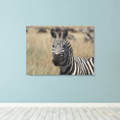 Toile Capture de bouchon (Insitu (Plancher de Bois))