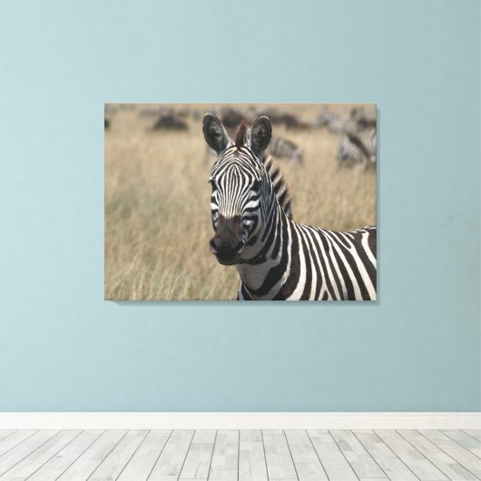 Toile Capture de bouchon (Insitu (Plancher de Bois))