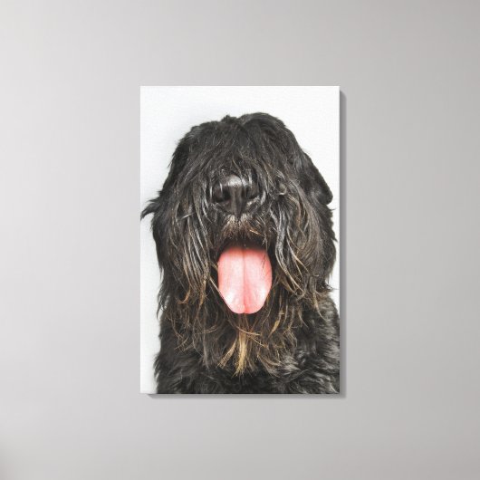 Toile Capture de studio (Recto)