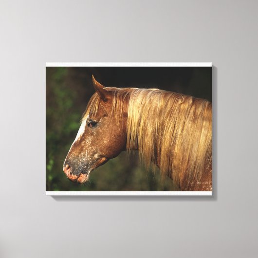 Toile Capture d'écran Appaloosa Horse 1 (Recto)