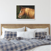 Toile Capture d'écran Appaloosa Horse 1 (Insitu(Chambre))