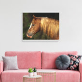 Toile Capture d'écran Appaloosa Horse 1 (Insitu(Salon))