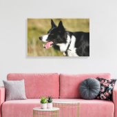 Toile Capture d'écran de la bordure Collie 2 (Insitu(Salon))