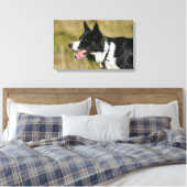 Toile Capture d'écran de la bordure Collie 2 (Insitu(Chambre))