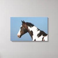 Capture d'écran du Cheval de peinture 1