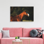 Toile Capture d'écran du cheval Thoroughbred (Insitu(Salon))